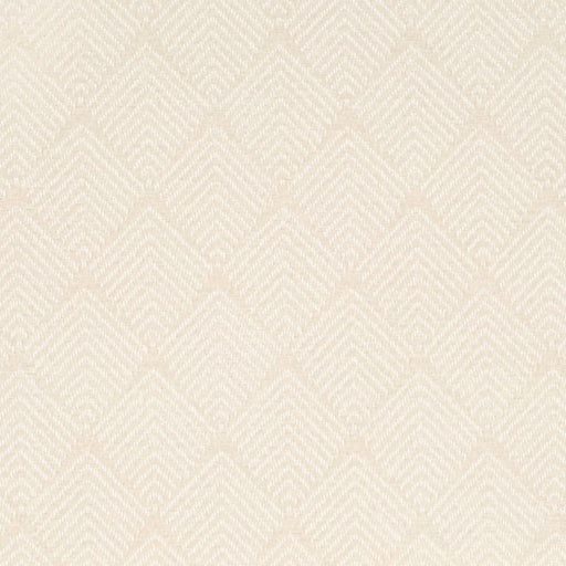 Charlotte - CB800-479 - Fabric by the Yard CB800-479