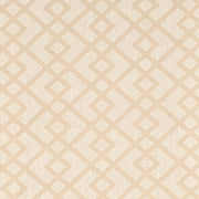 Charlotte - CB800-481 - Fabric by the Yard CB800-481