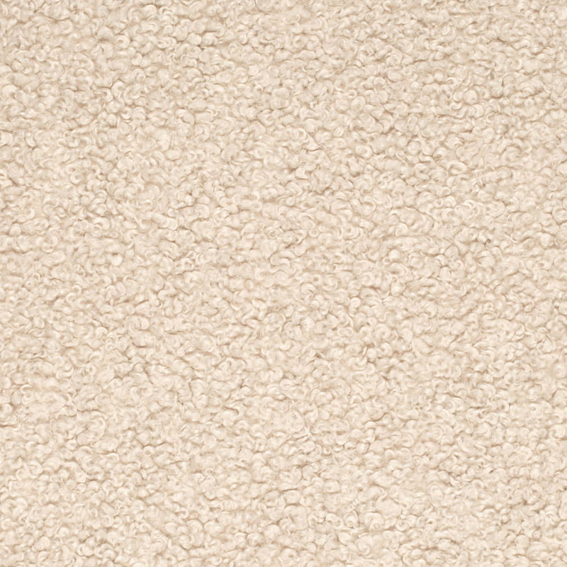 Charlotte - CB800-482 - Fabric by the Yard CB800-482