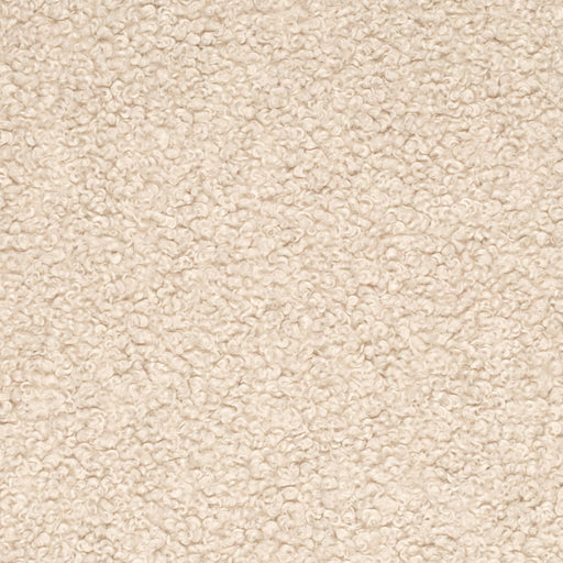 Charlotte - CB800-482 - Fabric by the Yard CB800-482