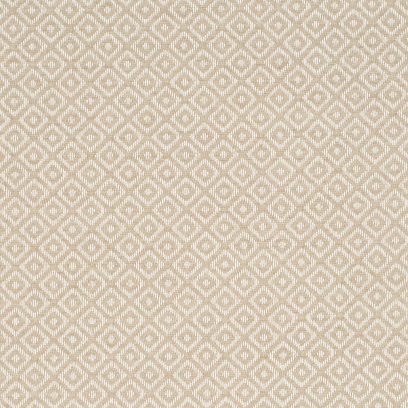 Charlotte - CB800-483 - Fabric by the Yard CB800-483