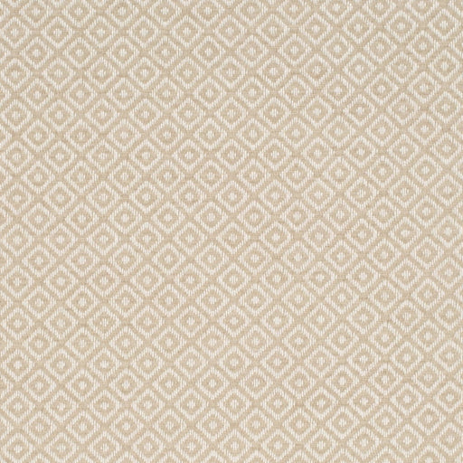 Charlotte - CB800-483 - Fabric by the Yard CB800-483