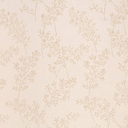 Charlotte - CB800-488 - Fabric by the Yard CB800-488