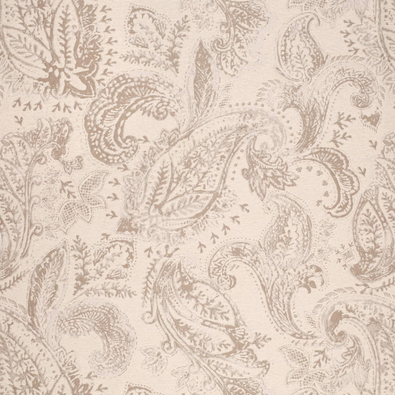 Charlotte - CB800-489 - Fabric by the Yard CB800-489