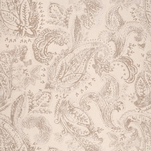 Charlotte - CB800-489 - Fabric by the Yard CB800-489