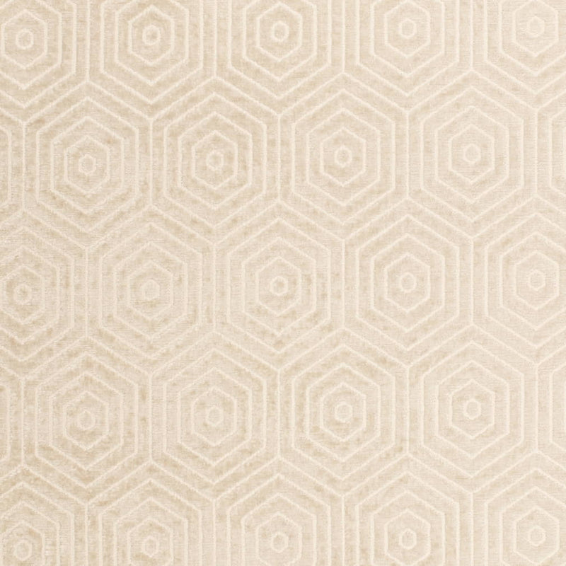 Charlotte - CB800-491 - Fabric by the Yard CB800-491