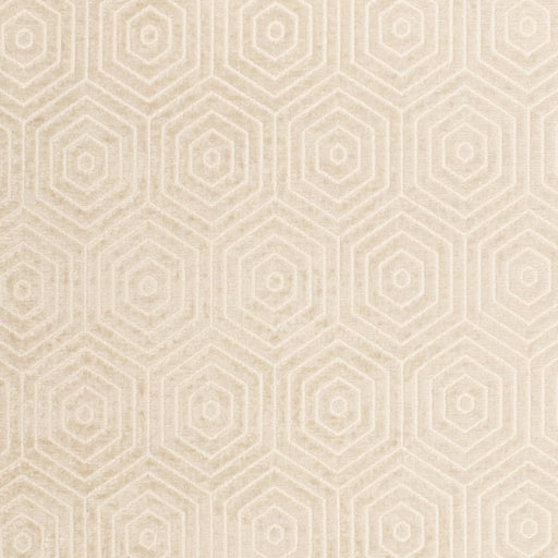 Charlotte - CB800-491 - Fabric by the Yard CB800-491