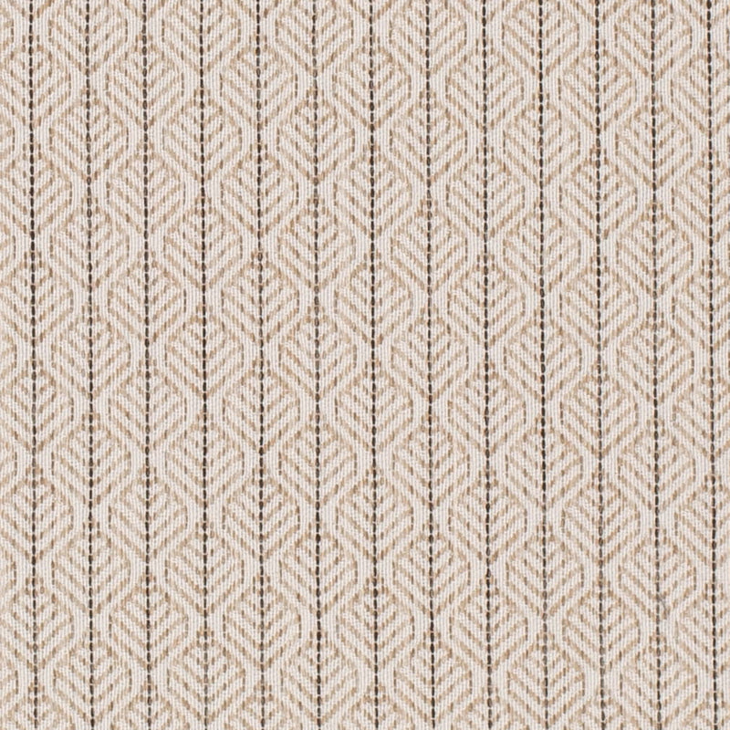 Charlotte - CB800-498 - Fabric by the Yard CB800-498