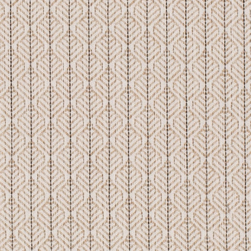 Charlotte - CB800-498 - Fabric by the Yard CB800-498