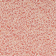 Charlotte - CB800-504 - Fabric by the Yard CB800-504