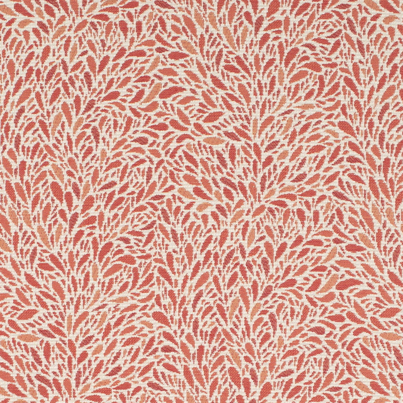Charlotte - CB800-504 - Fabric by the Yard CB800-504
