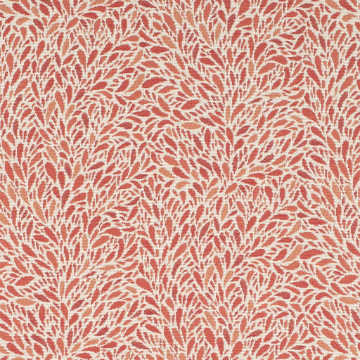Charlotte - CB800-504 - Fabric by the Yard CB800-504