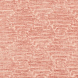 Charlotte - CB800-519 - Fabric by the Yard