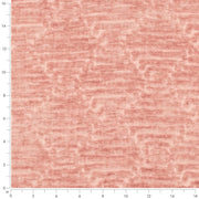 Charlotte - CB800-519 - Fabric by the Yard - CB800-519 - CB800-519_Ruler