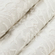 Charlotte - CB800-526 - Fabric by the Yard - CB800-526 - CB800-526_Rolled