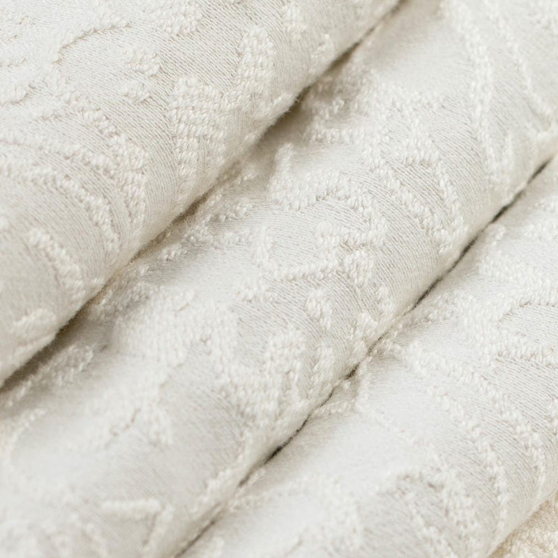 Charlotte - CB800-526 - Fabric by the Yard - CB800-526 - CB800-526_Rolled