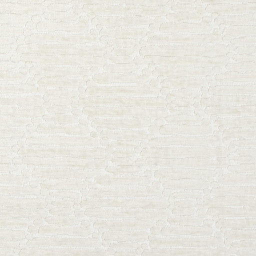 Charlotte - CB800-527 - Fabric by the Yard CB800-527