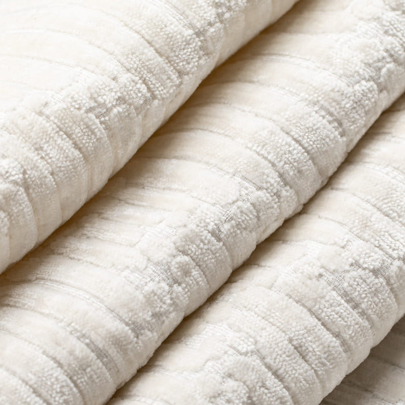 Charlotte - CB800-527 - Fabric by the Yard - CB800-527 - CB800-527_Rolled