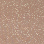 Charlotte - CB800-528 - Fabric by the Yard CB800-528