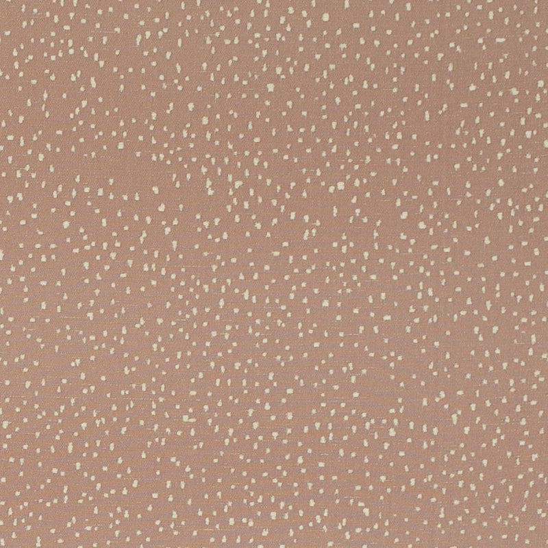 Charlotte - CB800-528 - Fabric by the Yard CB800-528