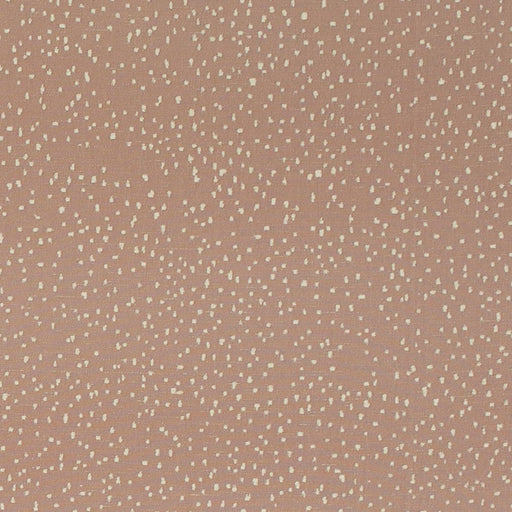 Charlotte - CB800-528 - Fabric by the Yard CB800-528