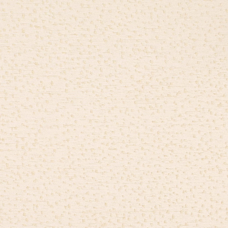 Charlotte - CB800-529 - Fabric by the Yard CB800-529