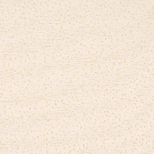 Charlotte - CB800-529 - Fabric by the Yard CB800-529