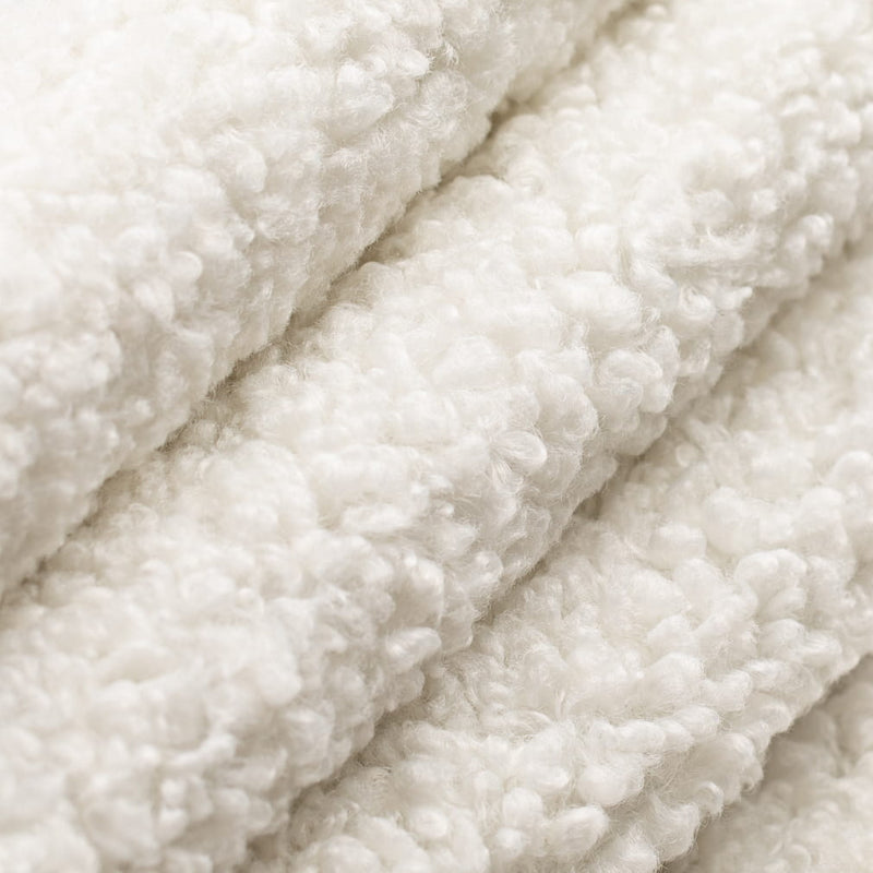 Charlotte - CB800-535 - Fabric by the Yard - CB800-535 - CB800-535_Rolled