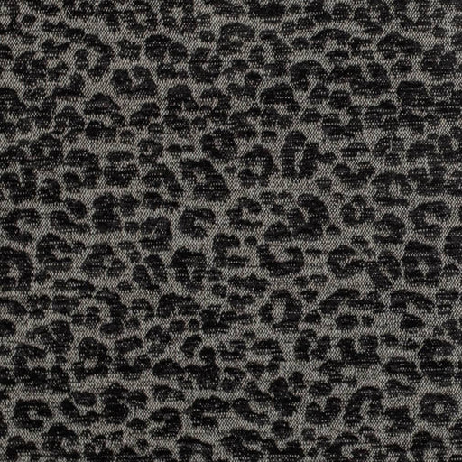 Charlotte - CB900-133 - Fabric by the Yard CB900-133