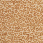 Charlotte - CB900-145 - Fabric by the Yard CB900-145