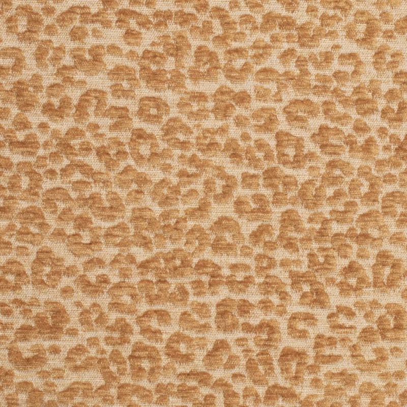 Charlotte - CB900-145 - Fabric by the Yard CB900-145