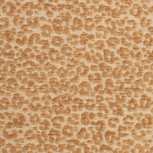 Charlotte - CB900-145 - Fabric by the Yard CB900-145