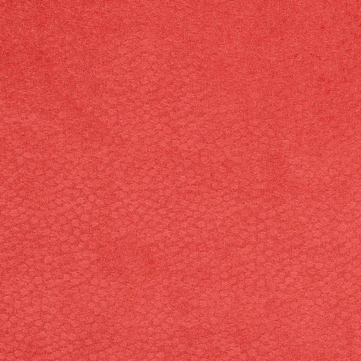 Charlotte - CB900-14 - Fabric by the Yard CB900-14