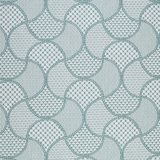 Charlotte - CB900-164 - Fabric by the Yard CB900-164