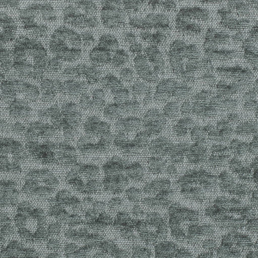 Charlotte - CB900-165 - Fabric by the Yard CB900-165