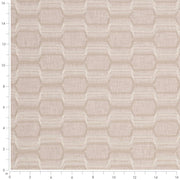 Charlotte - CB900-172 - Fabric by the Yard - CB900-172 - CB900-172_Ruler