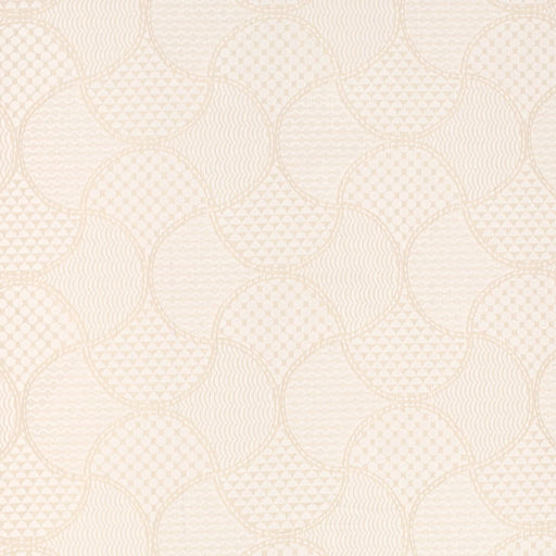 Charlotte - CB900-175 - Fabric by the Yard CB900-175