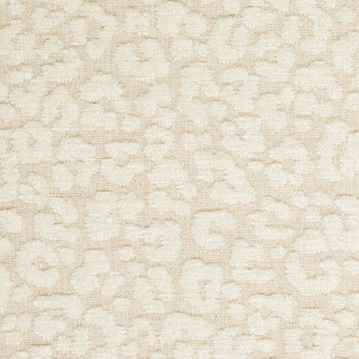 Charlotte - CB900-180 - Fabric by the Yard CB900-180