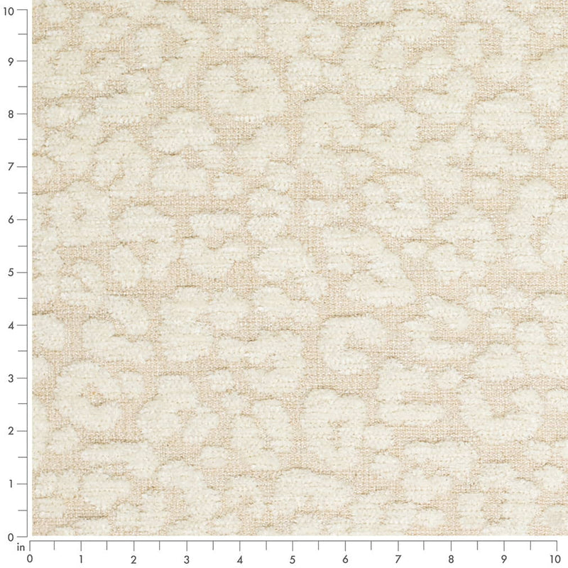 Charlotte - CB900-180 - Fabric by the Yard - CB900-180 - CB900-180_Ruler