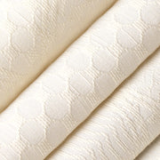 Charlotte - CB900-189 - Fabric by the Yard - CB900-189 - CB900-189_Rolled