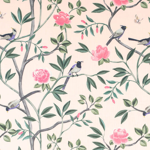 Charlotte - CB900-196 - Fabric by the Yard CB900-196