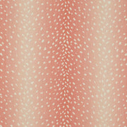 Charlotte - CB900-203 - Fabric by the Yard CB900-203