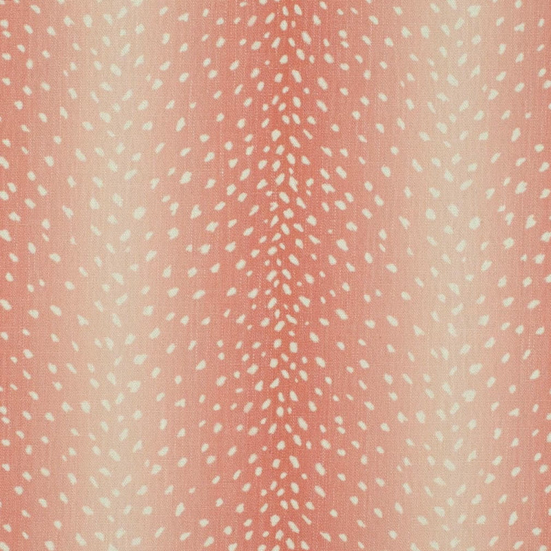 Charlotte - CB900-203 - Fabric by the Yard CB900-203