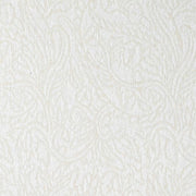 Charlotte - CB900-204 - Fabric by the Yard CB900-204