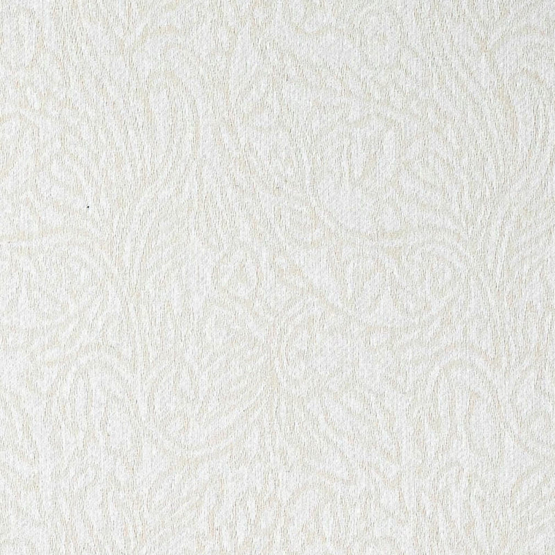 Charlotte - CB900-204 - Fabric by the Yard CB900-204