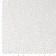 Charlotte - CB900-204 - Fabric by the Yard - CB900-204 - CB900-204_Ruler