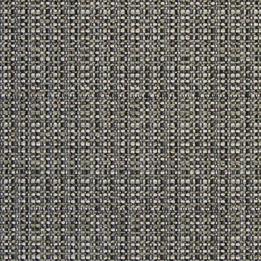 Charlotte - CB900-20 - Fabric by the Yard CB900-20
