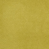 Charlotte - CB900-22 - Fabric by the Yard