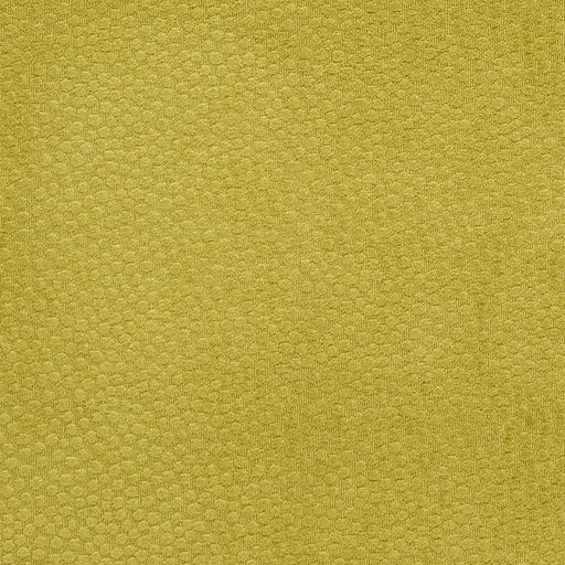 Charlotte - CB900-22 - Fabric by the Yard CB900-22