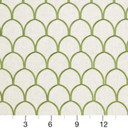 Charlotte - CB900-27 - Fabric by the Yard - CB900-27 - CB900-27_Ruler